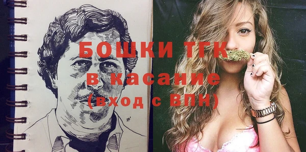 соль ск Зеленодольск